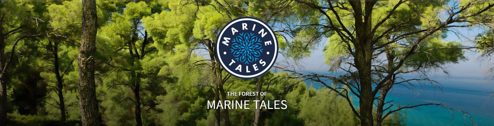 At Marine Tales we believe it is important to raise awareness about the major pressing issues faced by our planet - climate change, deforestation and CO2 emissions. | Marine Tales Classy Swimwear and Lingerie for Women | Luxury Swimsuits